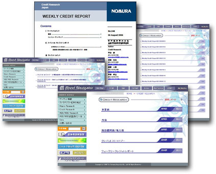 Credit Score Loan Options